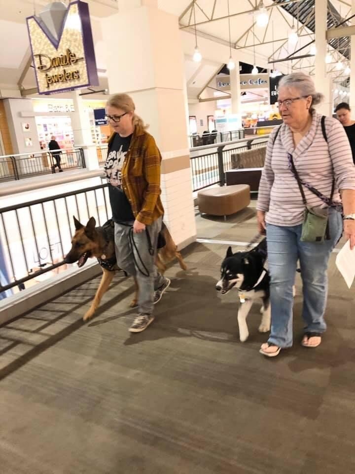COMMUNITY TRAINING & CANINE GOOD CITIZEN TRAINING